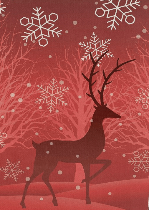 Conceptum Hypnose Woopamuk 419 Tepih, 80 x 120 cm, crveni