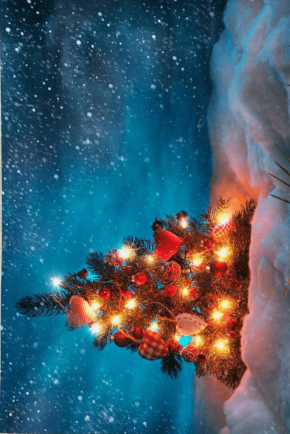 Conceptum Hypnose Woopamuk 432 Tepih, 80x150 cm, plava