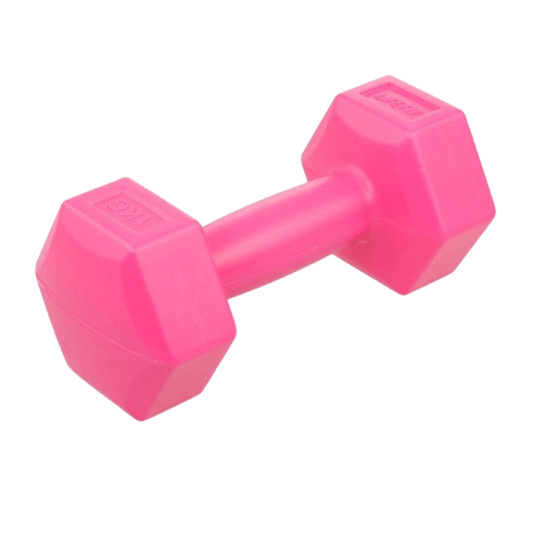 Lifefit Bučica Vinyl, 1 kg, Roza