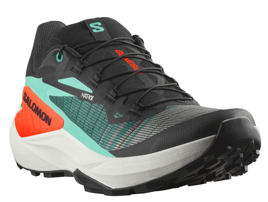 Salomon Muške patike Genesis, Šarene