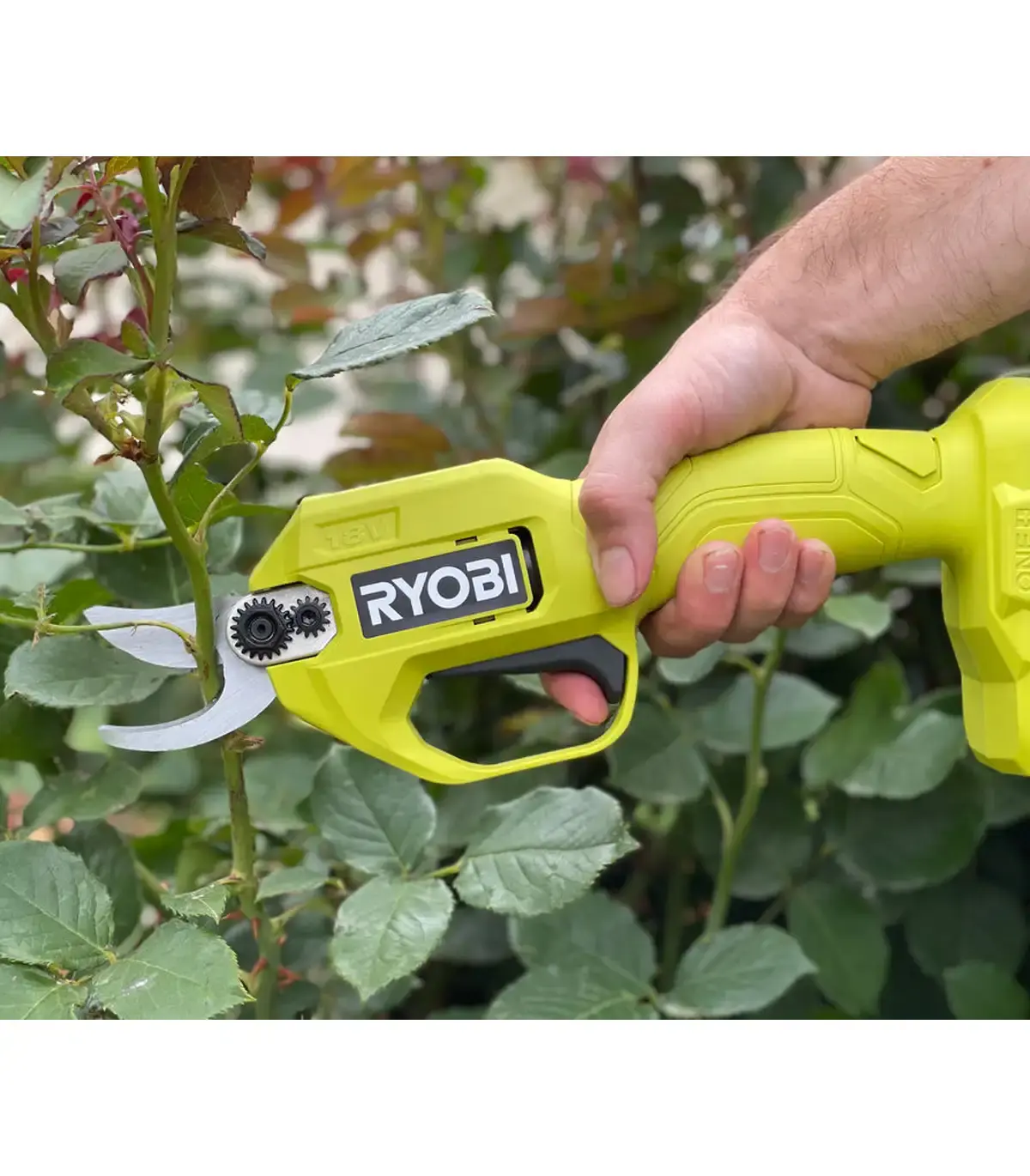 image for product
